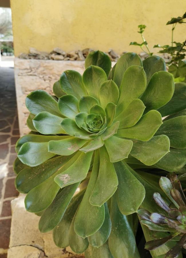 Posada Casa Del Minero โปโซส ภายนอก รูปภาพ